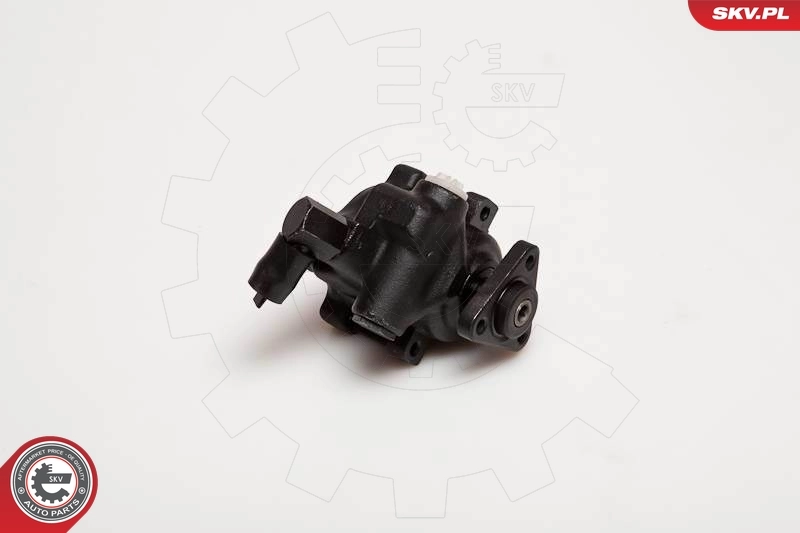 Hydraulic Pump, steering